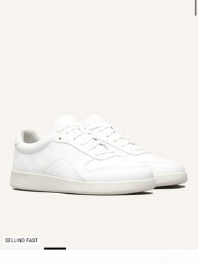 everlane court sneaker in women’s 7